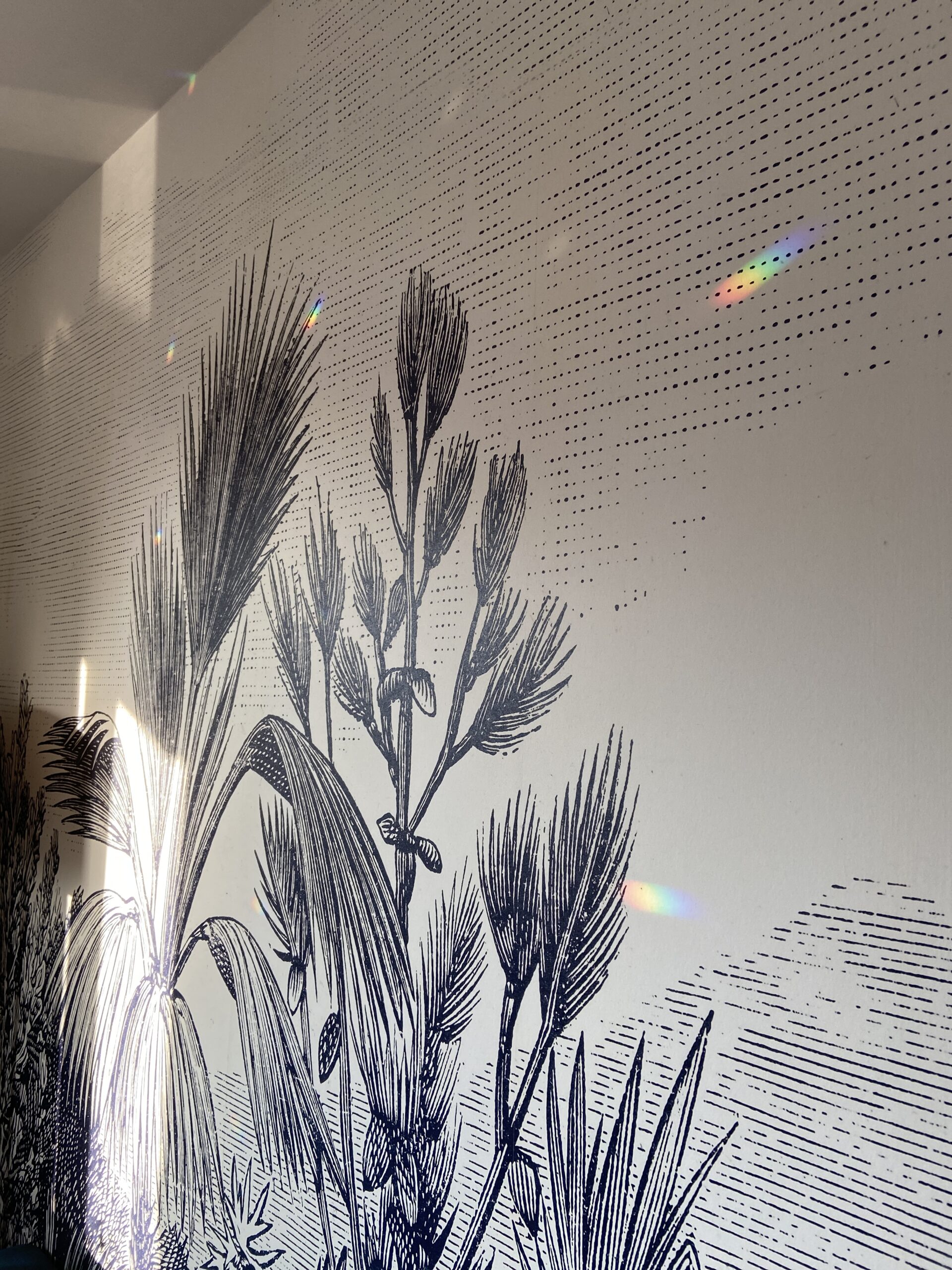 Salon cosy avec plante verte et fauteuil orange, meuble jaune